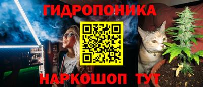 эйфоретик Аша