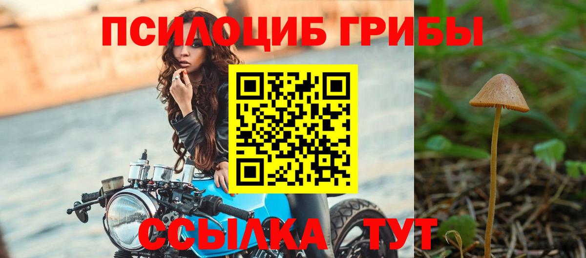 Камышлов  Галлюциногенные грибы Psilocybine cubensis  Вход с VPN 