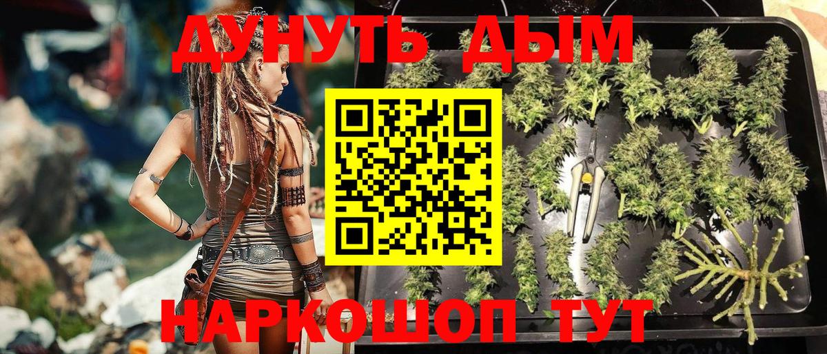 МАРИХУАНА план  Каннабис OG Kush  Шишки марихуана семена  Камышлов  Конопля семена  Вход с VPN 